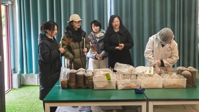 到宜宾市叙州区南广学校参观交流麻将胡了2模拟器川师叙州附小(图3)
